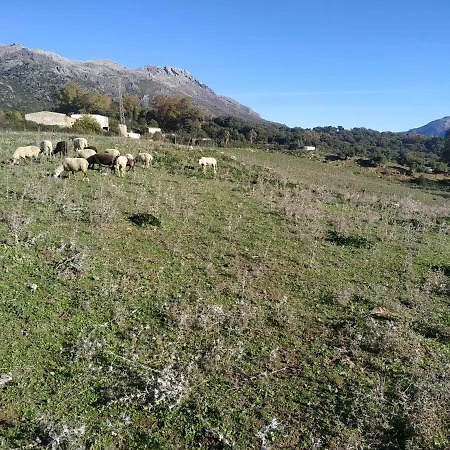 Valle Del Guadiaro Lejlighed Cortes de la Frontera